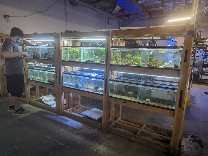 Bay Bridge Aquarium Picture 6