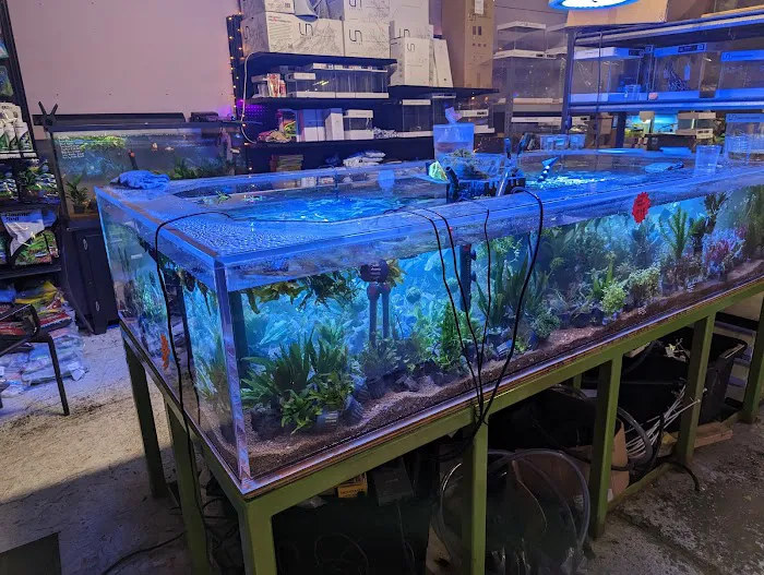 Bay Bridge Aquarium Picture 7