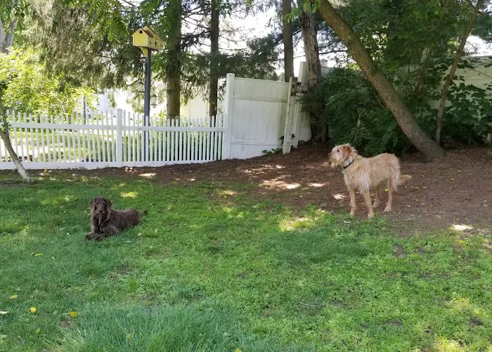 Windsor Animal Clinic Picture 5