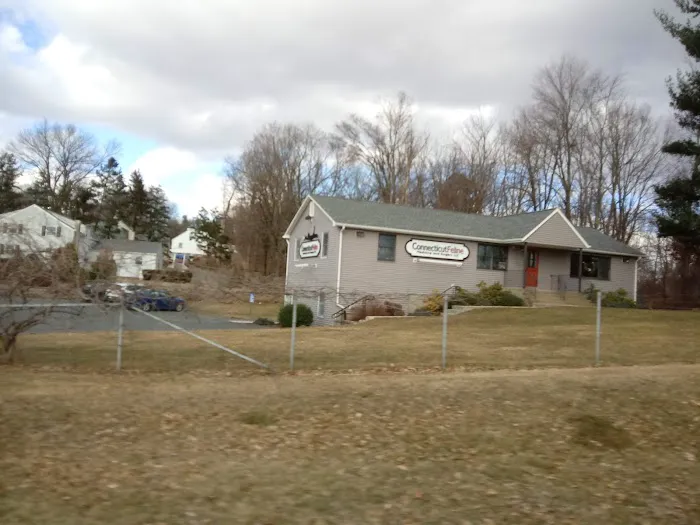 Connecticut Feline Medicine and Surgery Picture 2