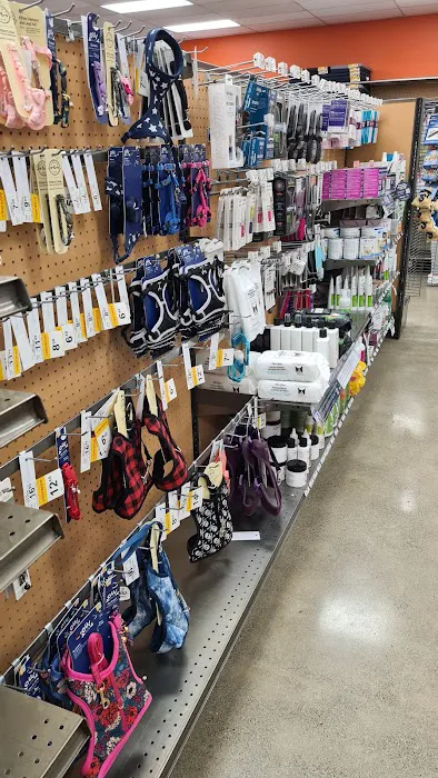 Unleashed by Petco Picture 1