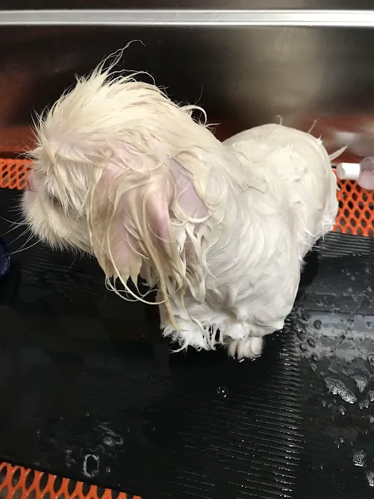 Unleashed by Petco Picture 5