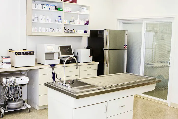 Vet For Pet Animal Hospital Picture 6