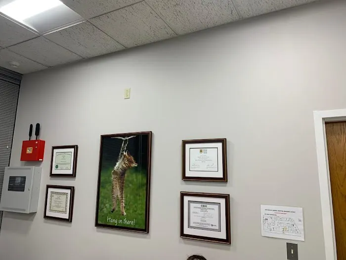 Vet For Pet Animal Hospital Picture 9