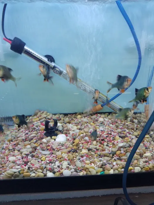 International Aquarium Picture 6