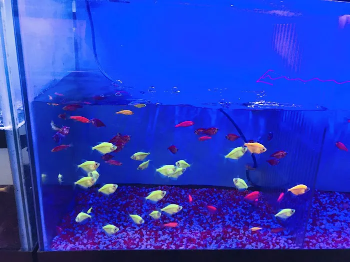 International Aquarium Picture 10