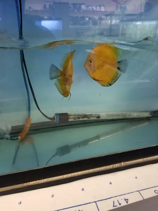 International Aquarium Picture 7
