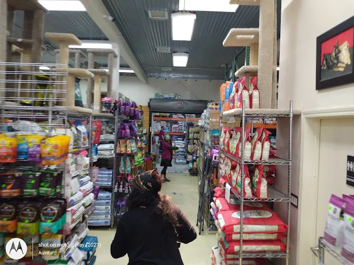 Petvet Petfood Picture 4