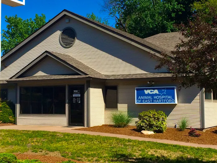 VCA Animal Hospital of East Hartford Picture 8