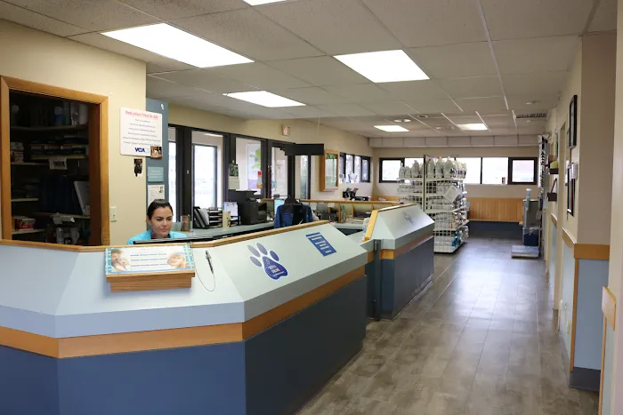 VCA Animal Hospital of East Hartford Picture 10