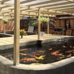 East Bay Koi
