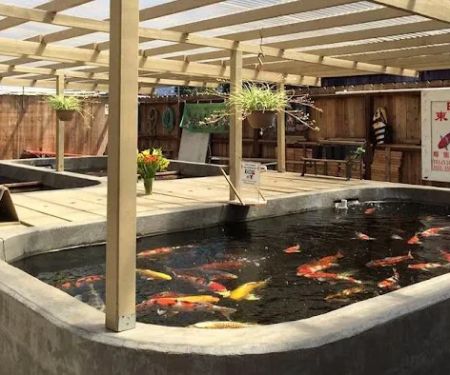 East Bay Koi