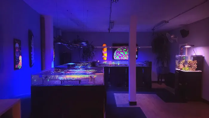 High Tide Aquatics Picture 1