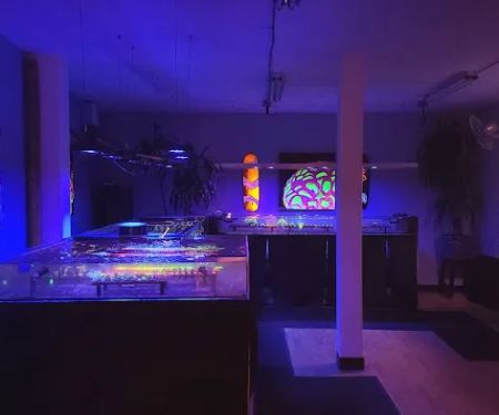 High Tide Aquatics