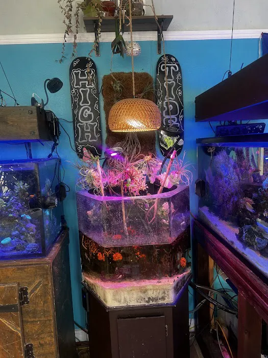 High Tide Aquatics Picture 6