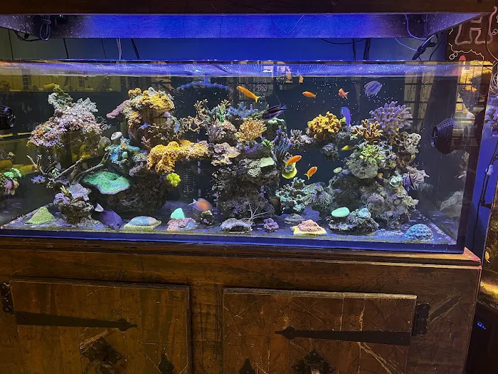 High Tide Aquatics Picture 10