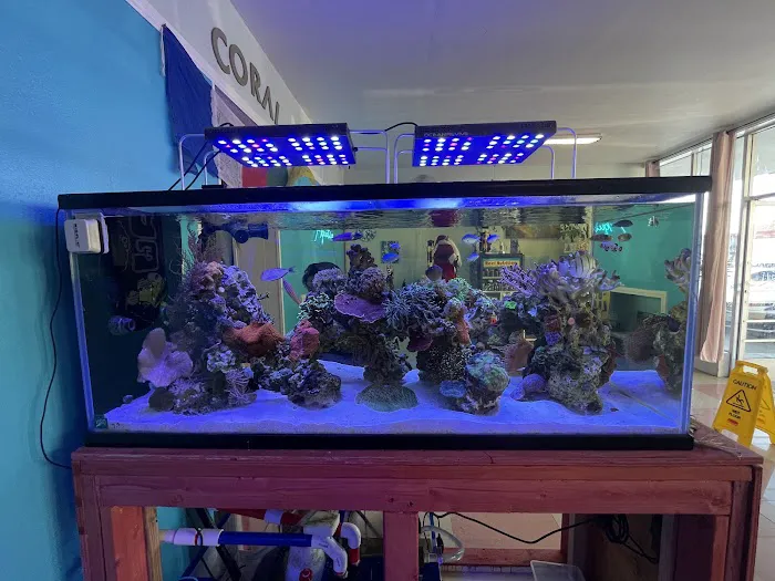 High Tide Aquatics Picture 9