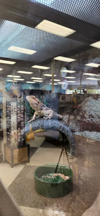 Petco Picture 4