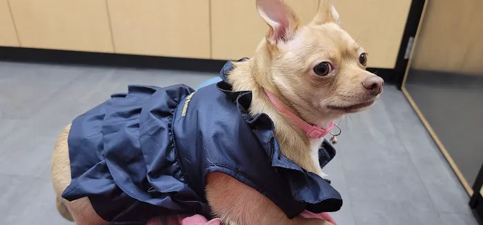 Banfield Pet Hospital Picture 4