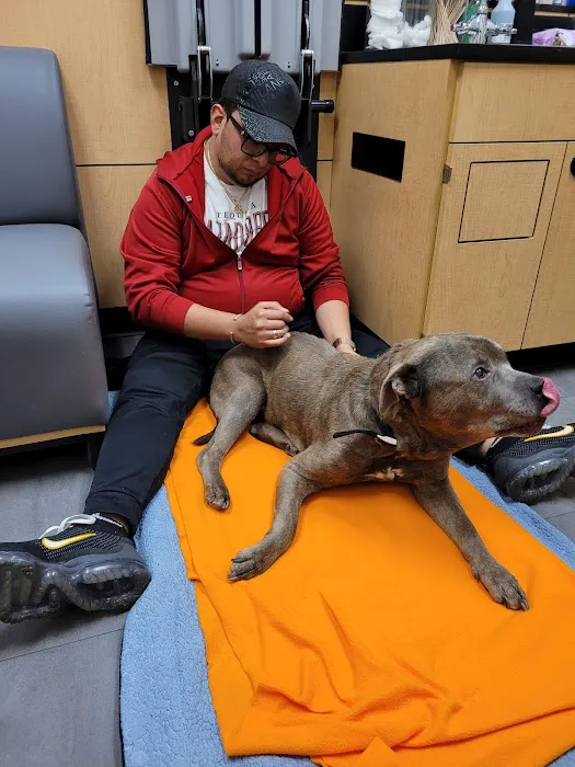 Banfield Pet Hospital Picture 7