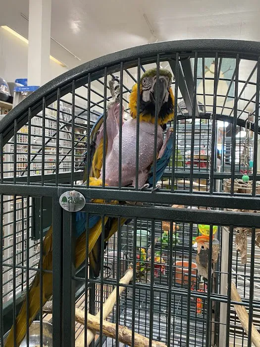 Your Basic Bird Picture 8