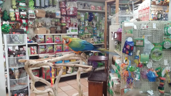 Your Basic Bird Picture 6