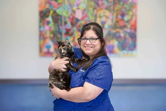 Glastonbury Veterinary Hospital Picture 2
