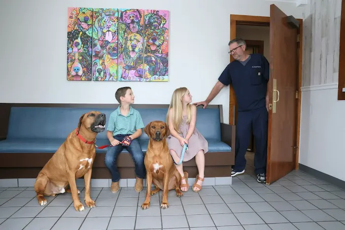 Glastonbury Veterinary Hospital Picture 3