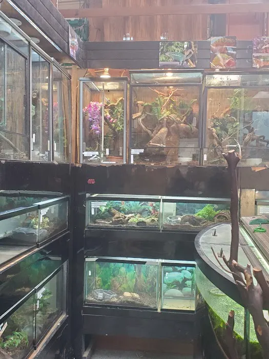 East Bay Vivarium Picture 5