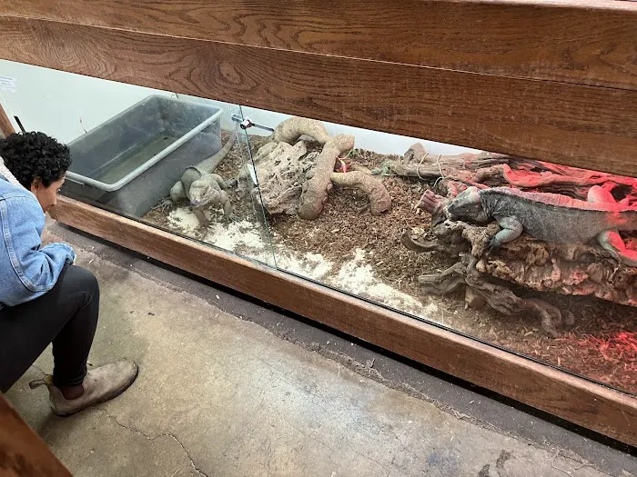 East Bay Vivarium Picture 2