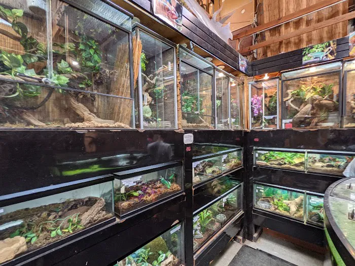 East Bay Vivarium Picture 9