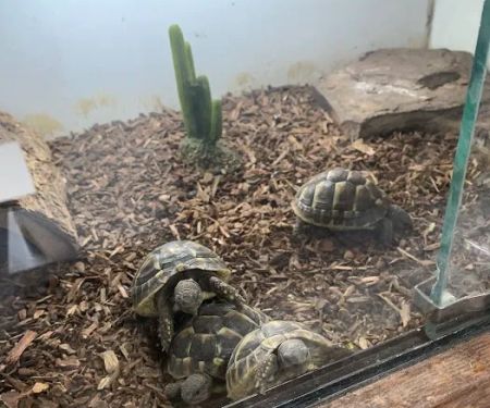 East Bay Vivarium