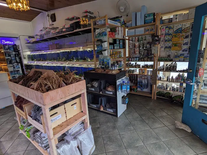 The Fish Barn Picture 1