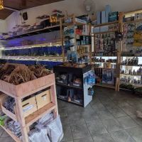 The Fish Barn ico