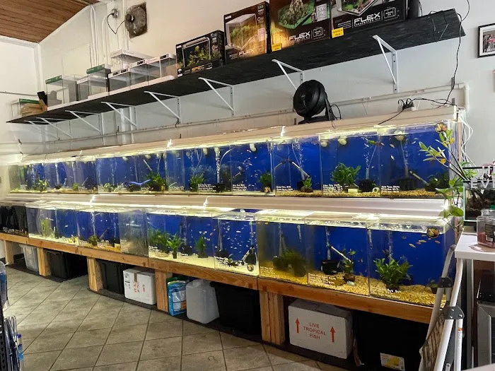 The Fish Barn Picture 4