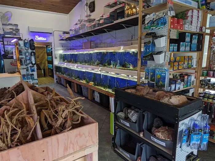 The Fish Barn Picture 5