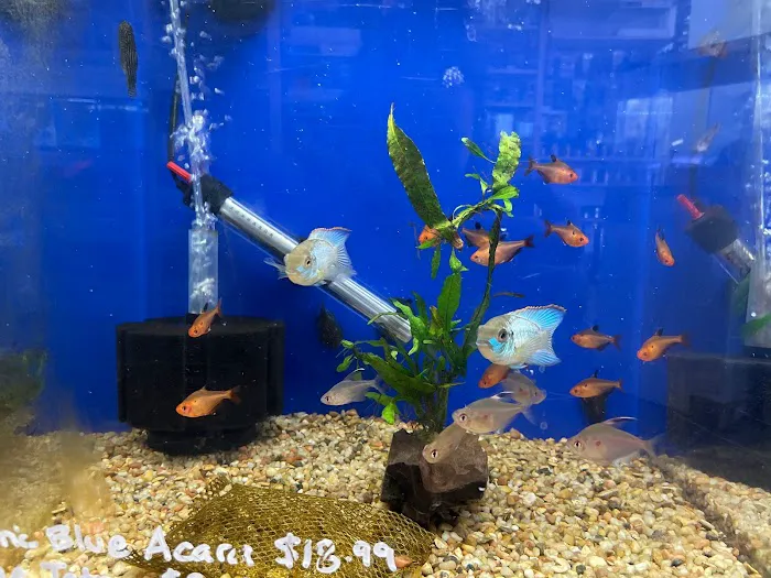 The Fish Barn Picture 6
