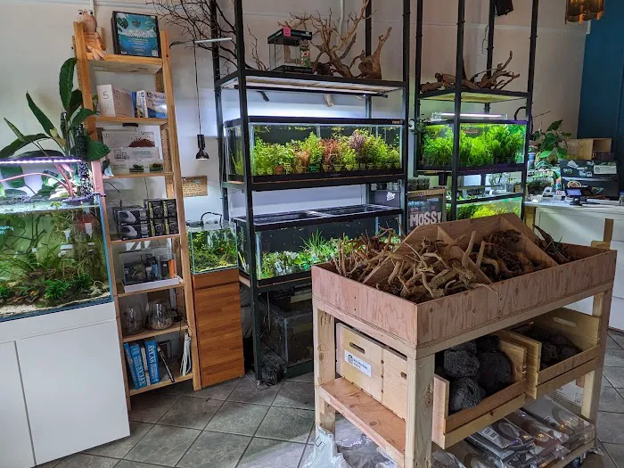 The Fish Barn Picture 7