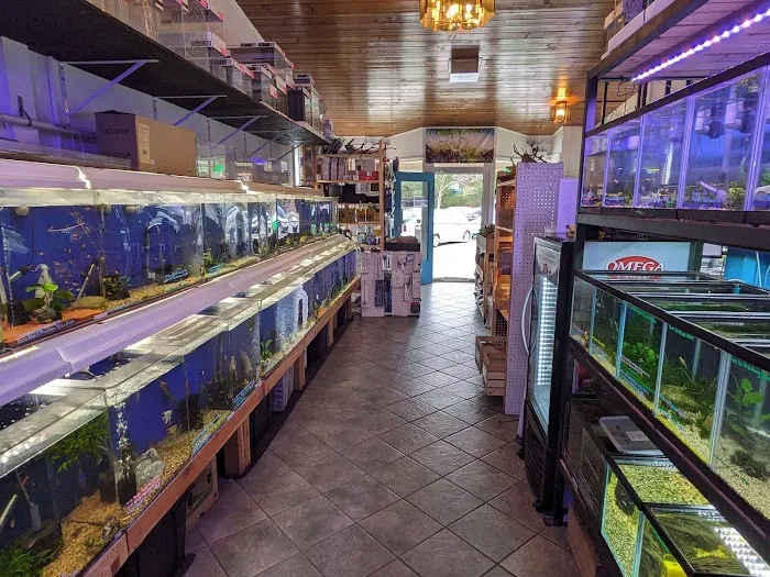 The Fish Barn Picture 2