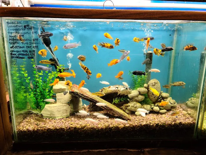 Tropical Fish World Picture 7