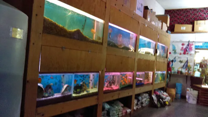 Tropical Fish World Picture 3