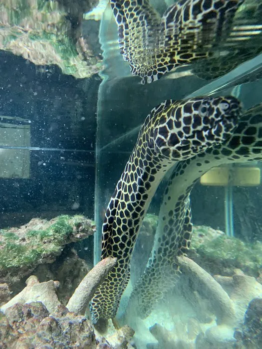 Tropical Fish World Picture 9