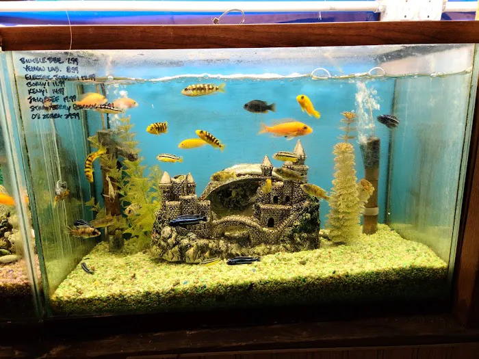 Tropical Fish World Picture 8