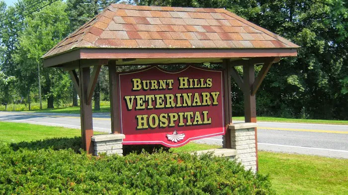 Burnt Hills Veterinary Hospital Picture 2