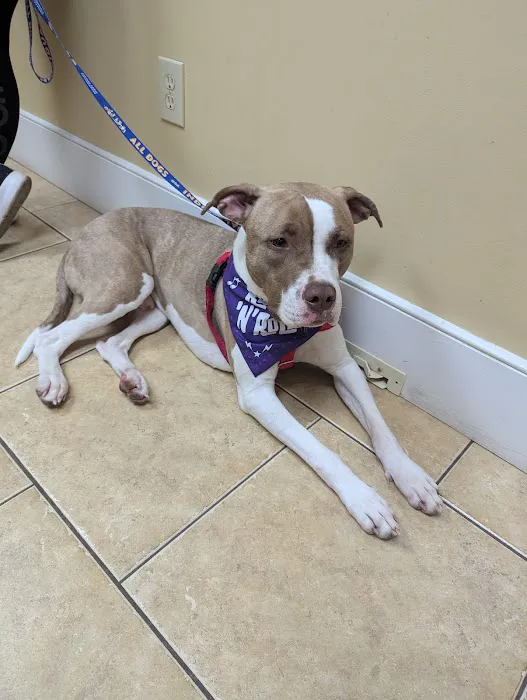 Burnt Hills Veterinary Hospital Picture 9