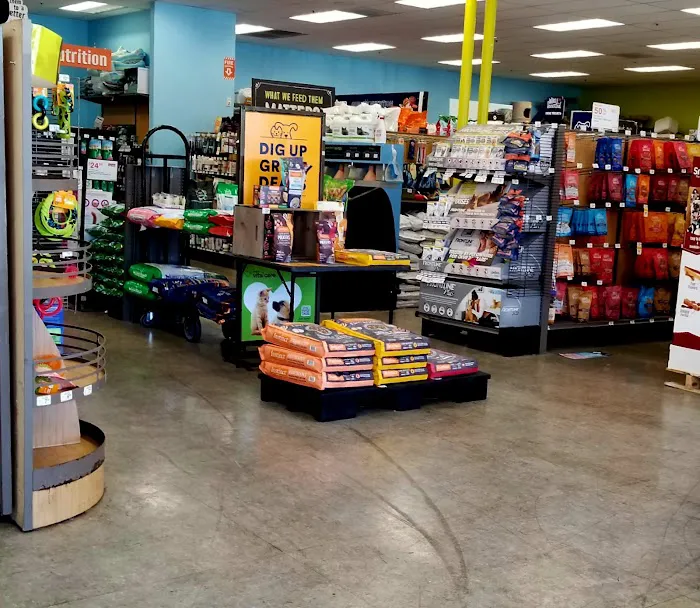 Unleashed by Petco Picture 4