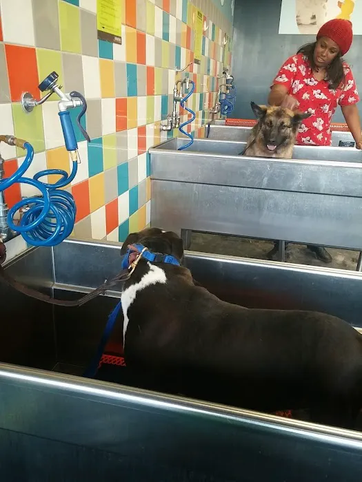 Unleashed by Petco Picture 5