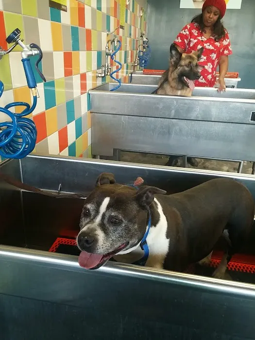 Unleashed by Petco Picture 10