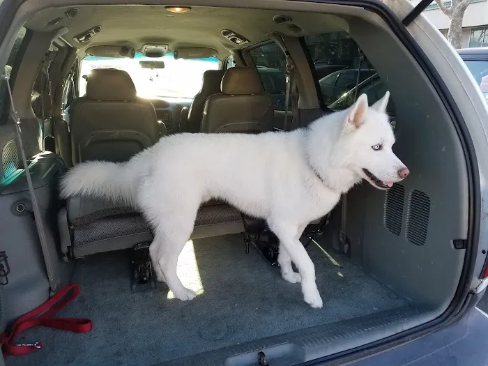 Unleashed by Petco Picture 3