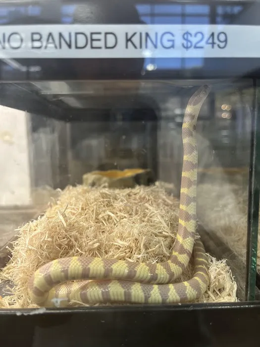 Reptile Room Picture 2